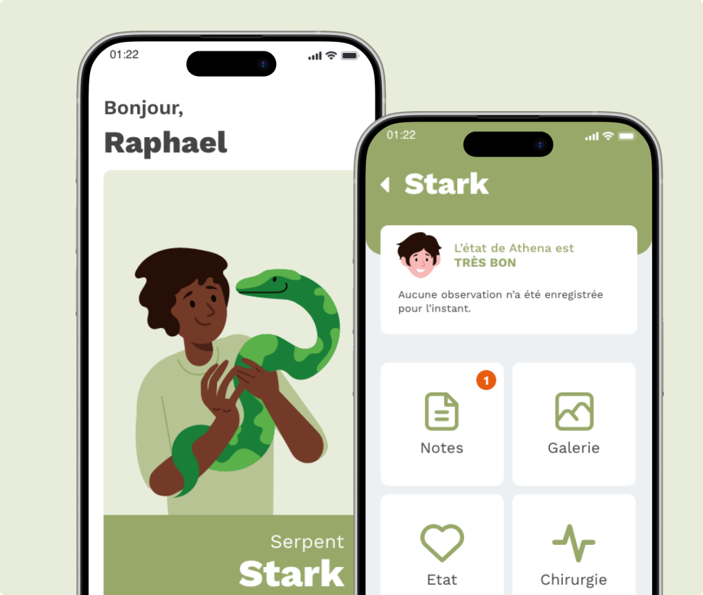 application mobile